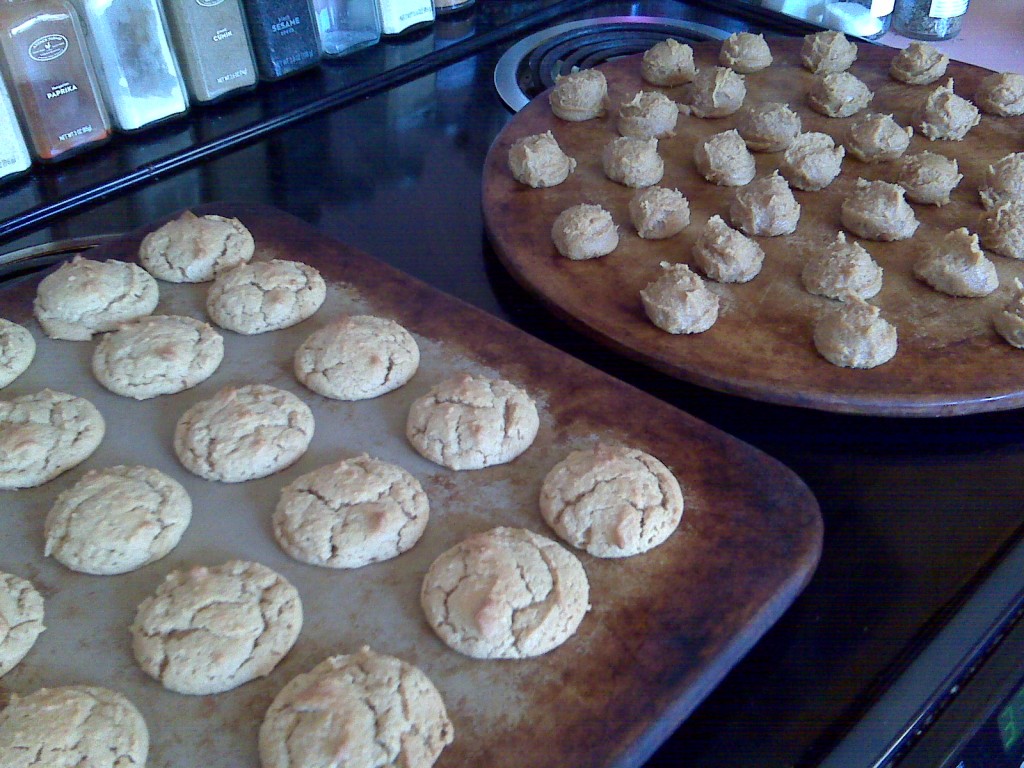 Aunt Angie's GFCF Peanut Butter Cookies